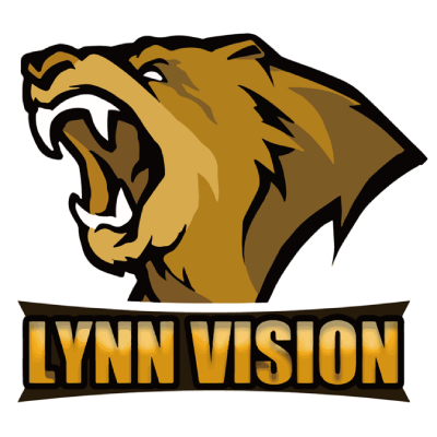 Lynn Vision